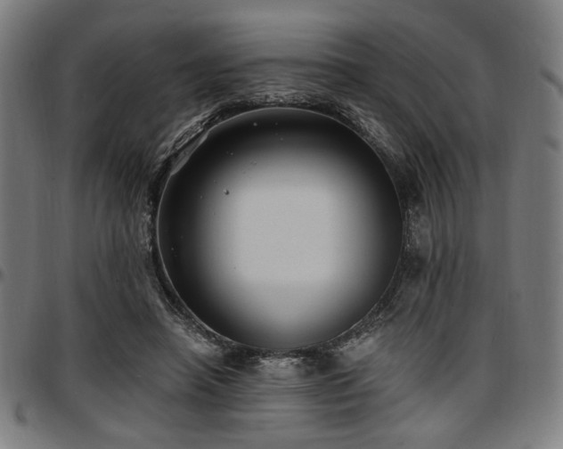 X0000097590450200802291223