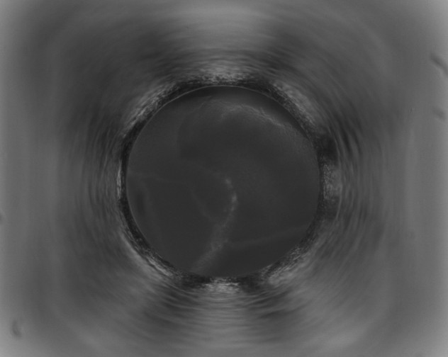 X0000097590451200802291223