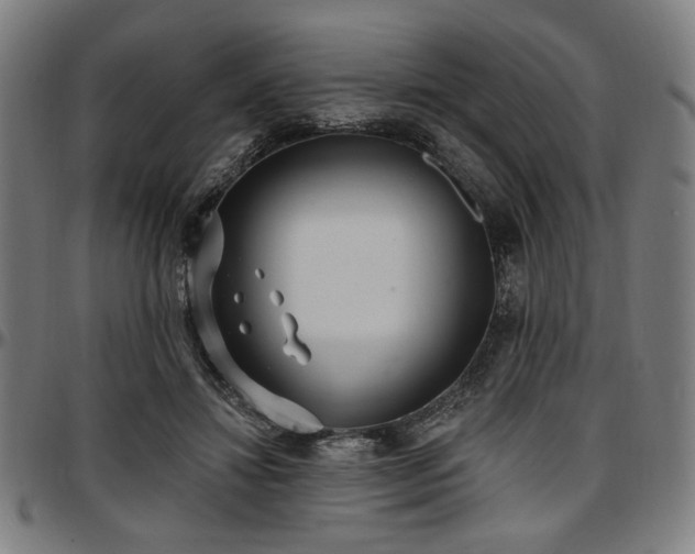 X0000097590452200802291223