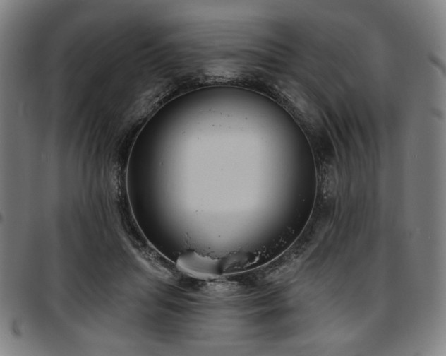 X0000097590455200802291223