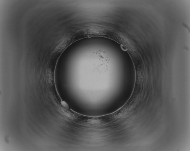 X0000097590457200802291223