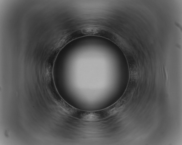 X0000097590460200802291223