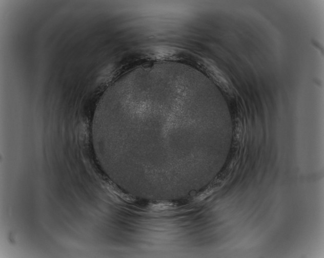 X0000097590461200802291223