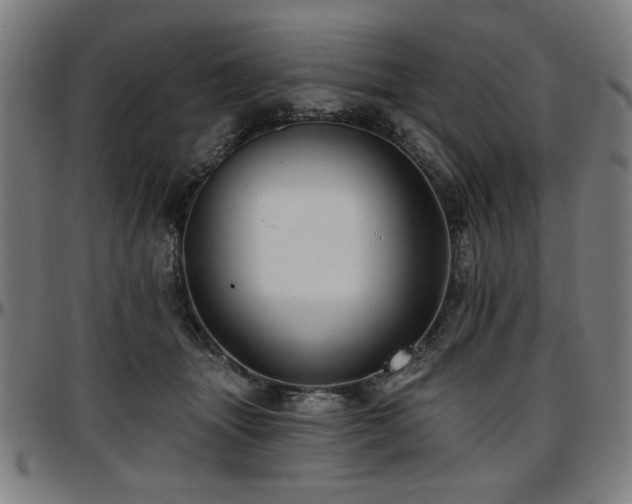 X0000097590463200802291223