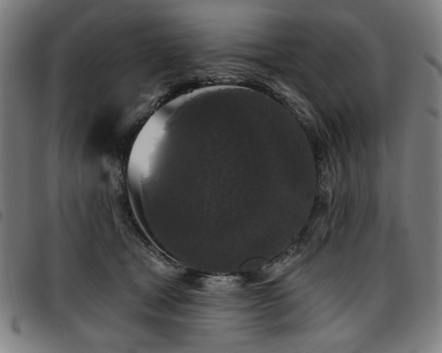 X0000097590465200802291223
