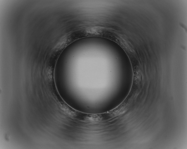 X0000097590466200802291223
