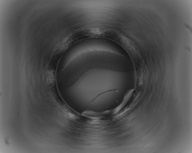 X0000097590467200802291223
