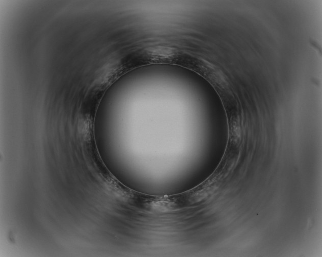 X0000097590468200802291223