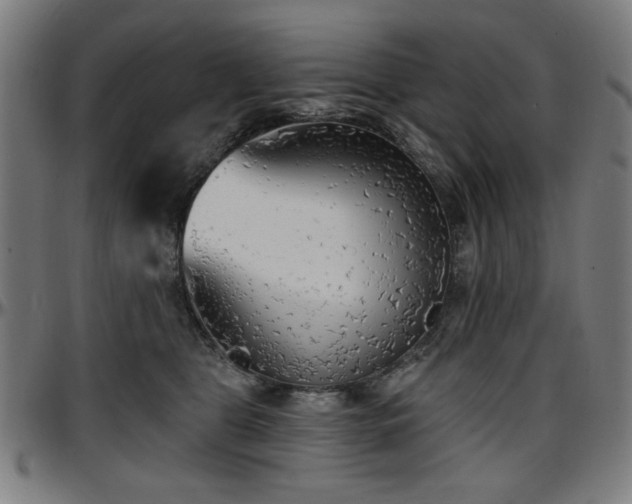 X0000097590469200802291223