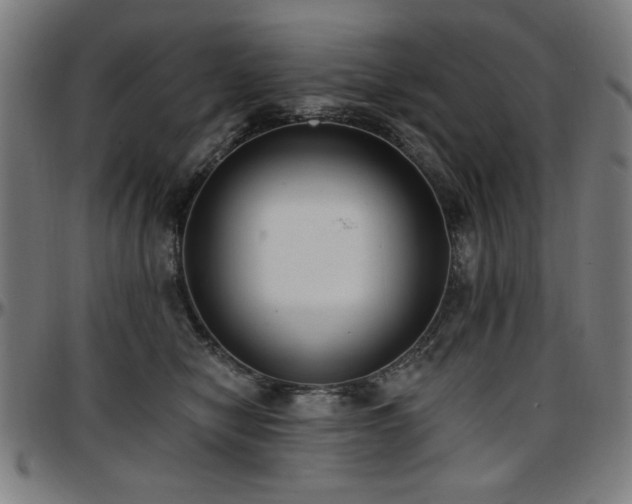 X0000097590470200802291223
