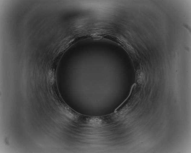X0000097590471200802291223