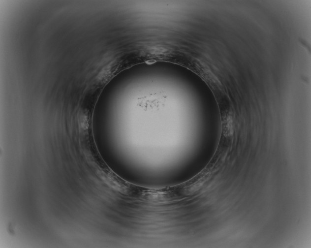 X0000097590472200802291223