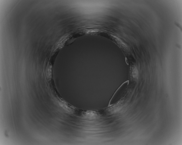 X0000097590475200802291223