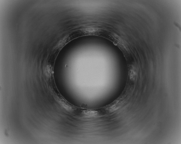 X0000097590476200802291223