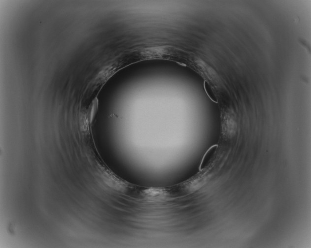 X0000097590477200802291223