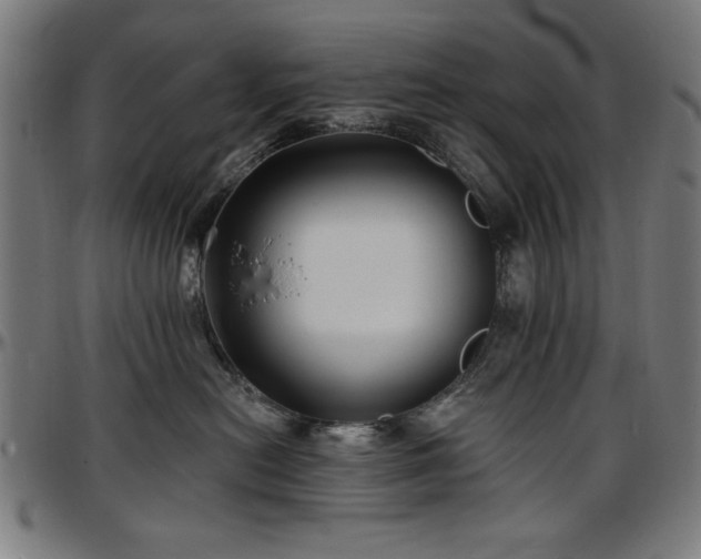 X0000097590478200802291223