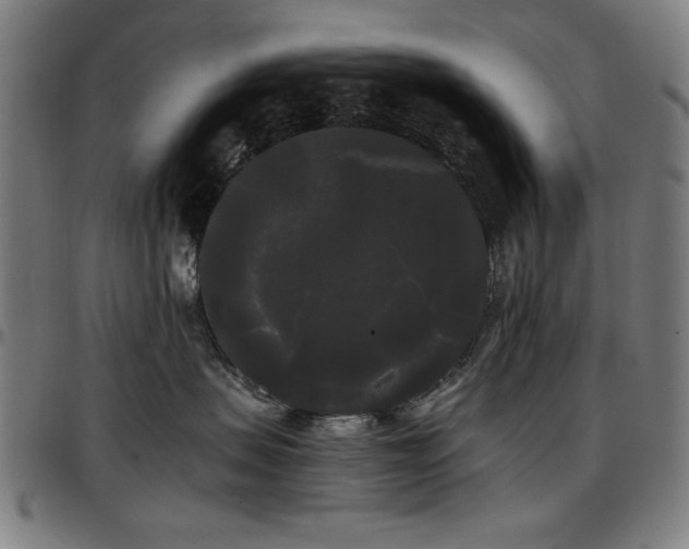 X0000097590479200802291223