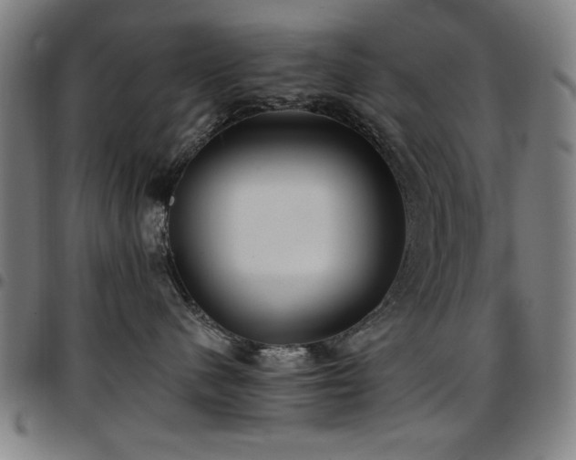 X0000097590480200802291223