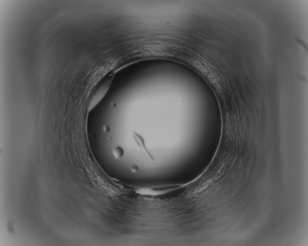 X0000097590481200802291223