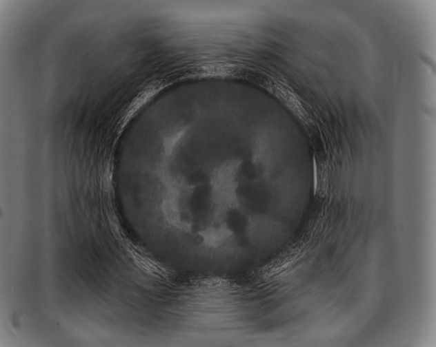 X0000097590483200802291222