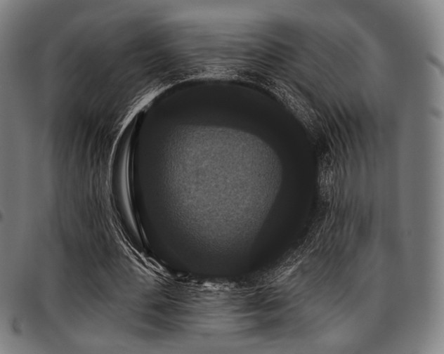 X0000097590484200802291222