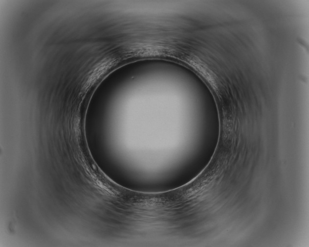 X0000097590485200802291222