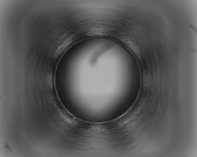 X0000097590489200802291222