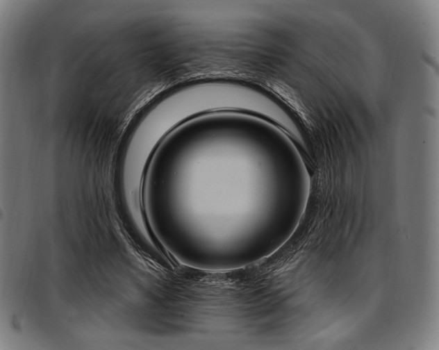 X0000097590491200802291222