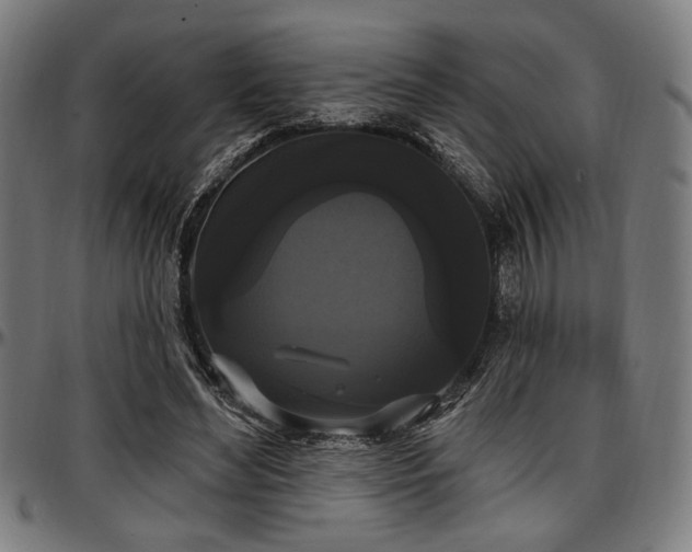 X0000097590492200802291222