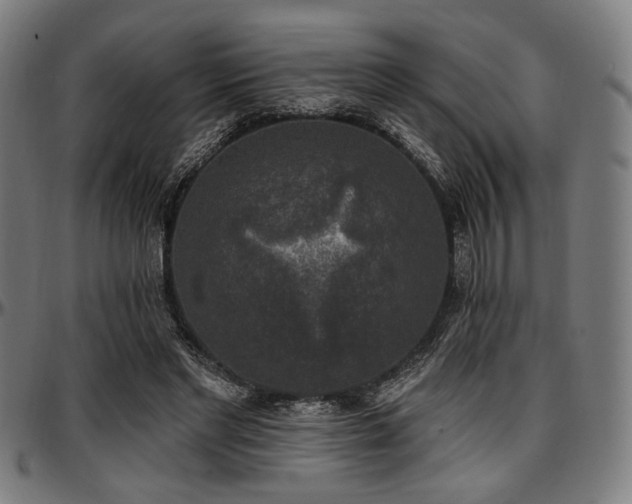X0000097590493200802291222