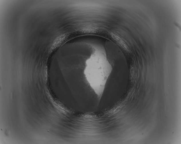 X0000097590494200802291222
