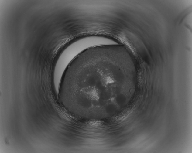 X0000097590495200802291222