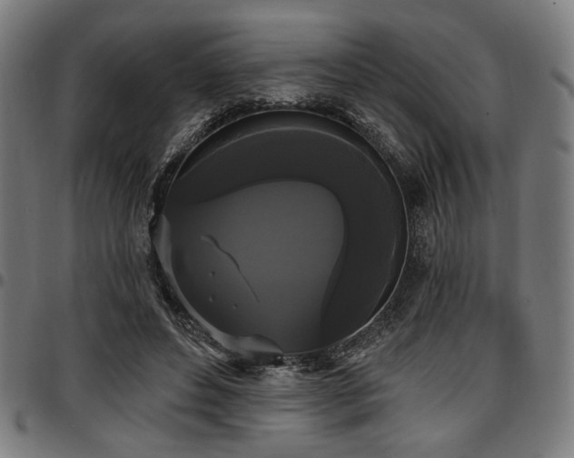 X0000097590496200802291222