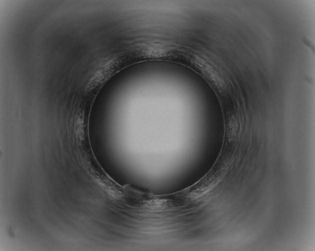 X0000097590497200802291222