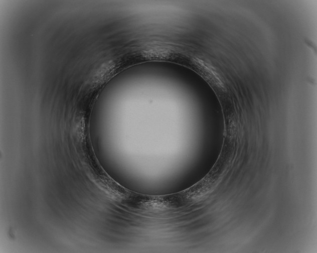 X0000097590498200802291222