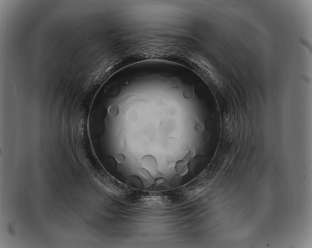 X0000097590499200802291222
