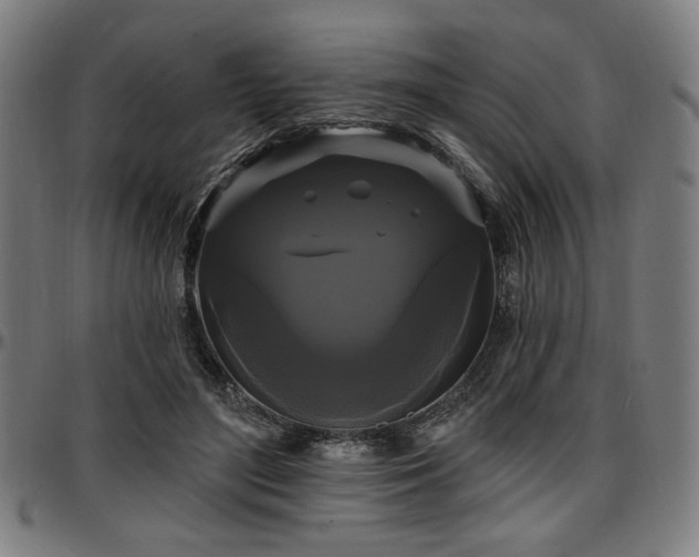 X0000097590500200802291222