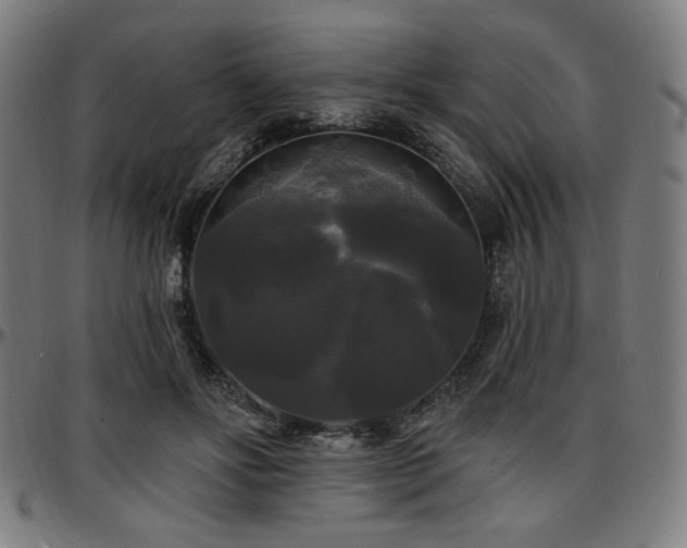 X0000097590502200802291222