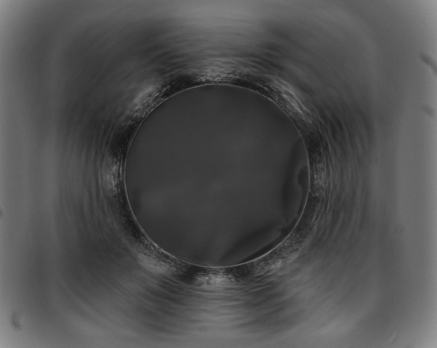 X0000097590503200802291222