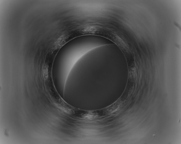 X0000097590504200802291222