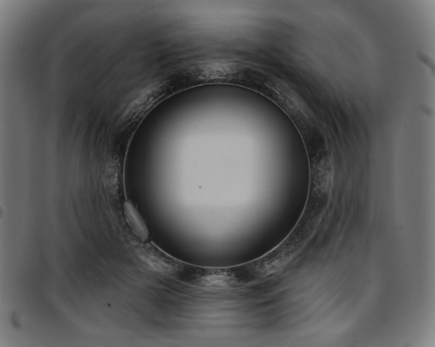 X0000097590505200802291222