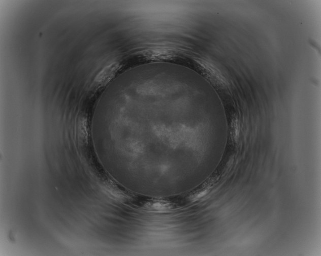 X0000097590506200802291222