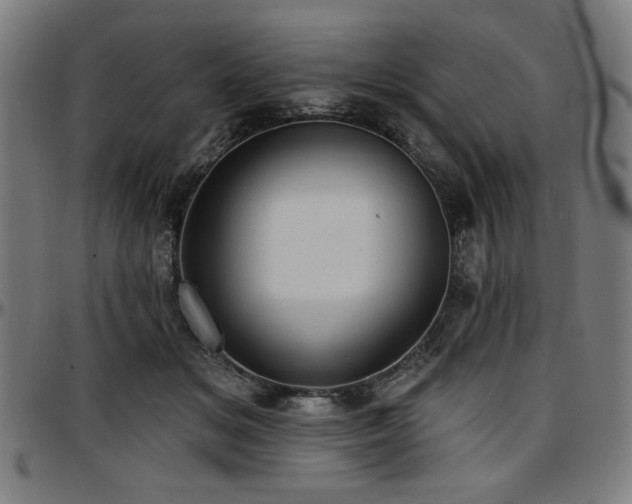 X0000097590509200802291222