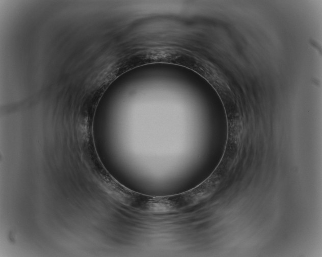 X0000097590510200802291222