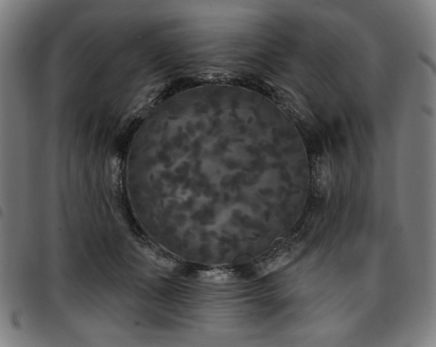 X0000097590511200802291222