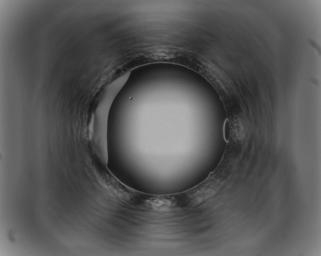 X0000097590512200802291222
