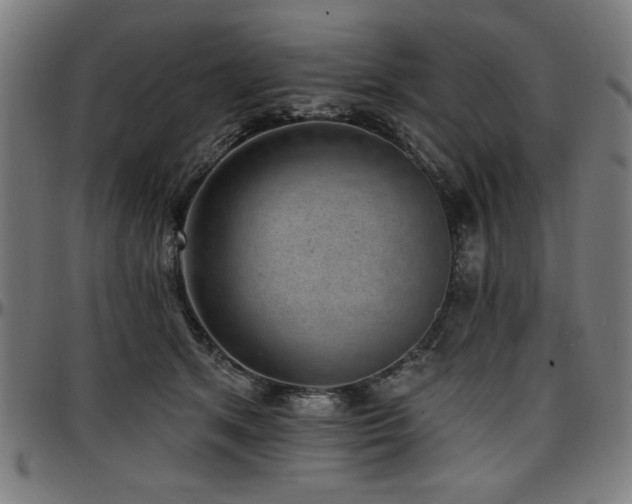 X0000097590513200802291222