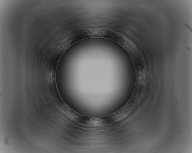 X0000097590514200802291222