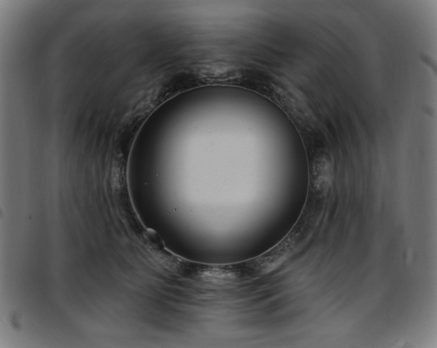 X0000097590515200802291222