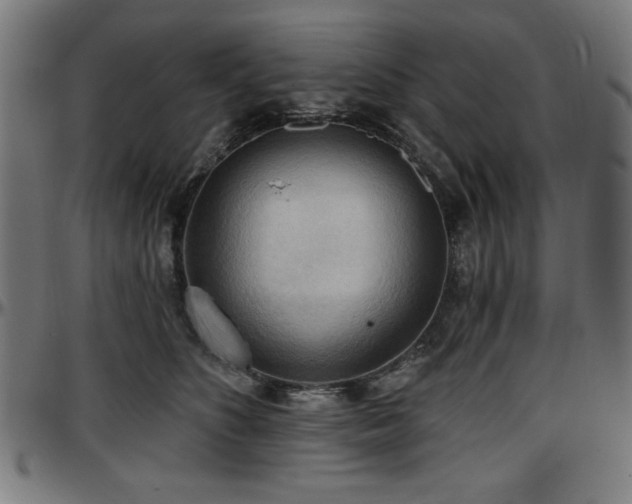 X0000097590516200802291222